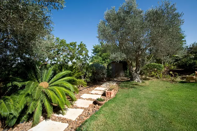 עיצוב גינה עם אבני מדרך 3